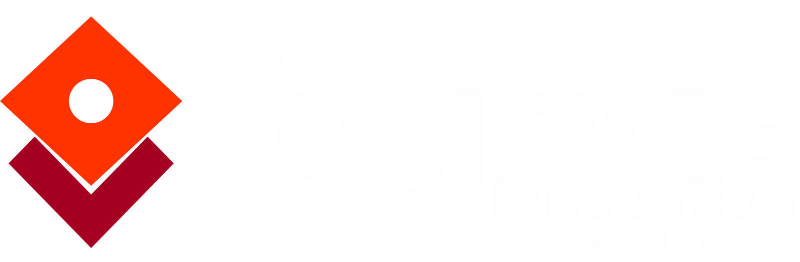 feghasacademylogo